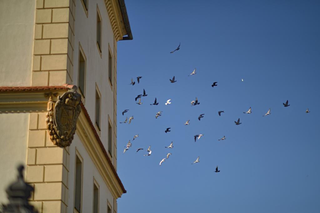 Apartmany Belveder Hlohovec Exterior photo